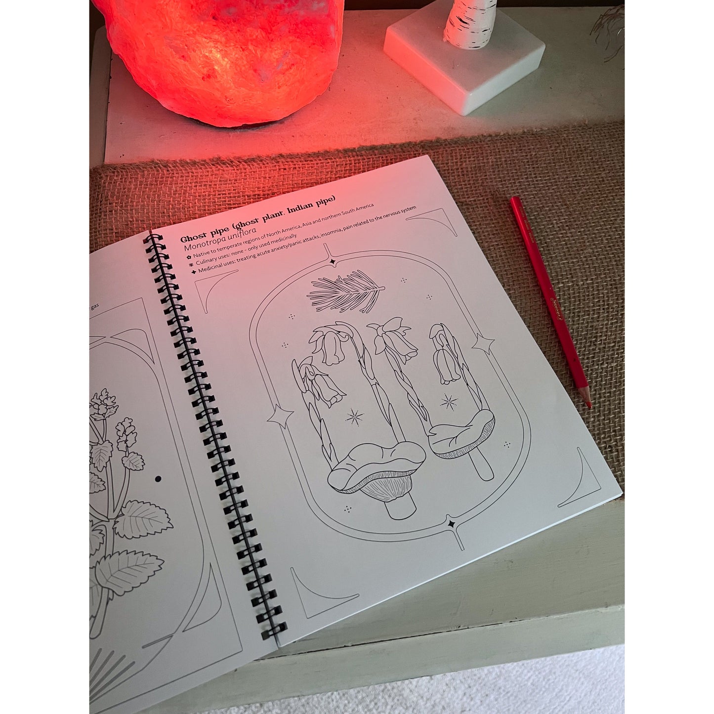 Edible & Medicinal Plants & Fungi Coloring Book