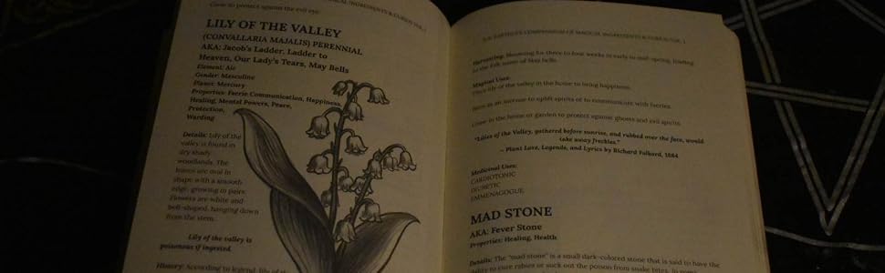 DB Earthly's Compendium of Magical Ingredients & Curios Book