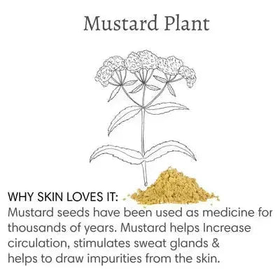 100% Natural Mustard Bath by Barefoot Venus