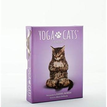 Yoga Cats Deck