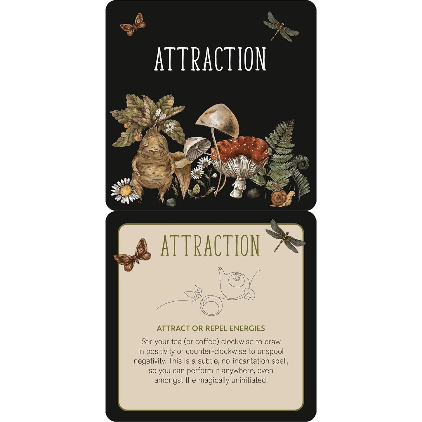 Everyday Spells for Busy Witches Card Deck