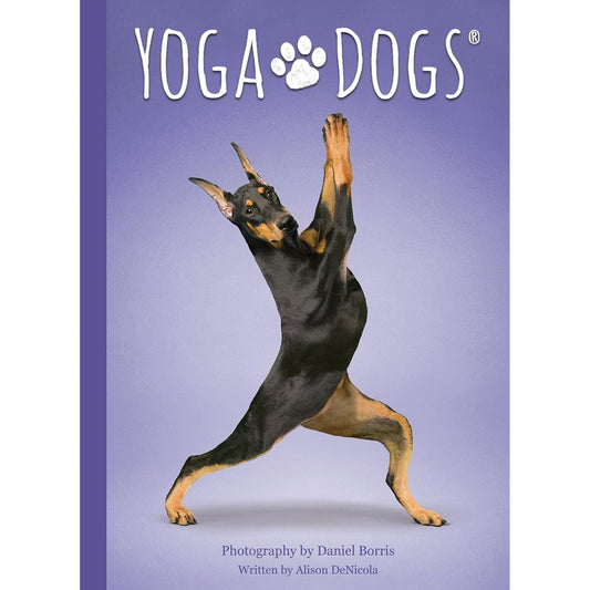 Yoga Dogs Card Deck and Book Set