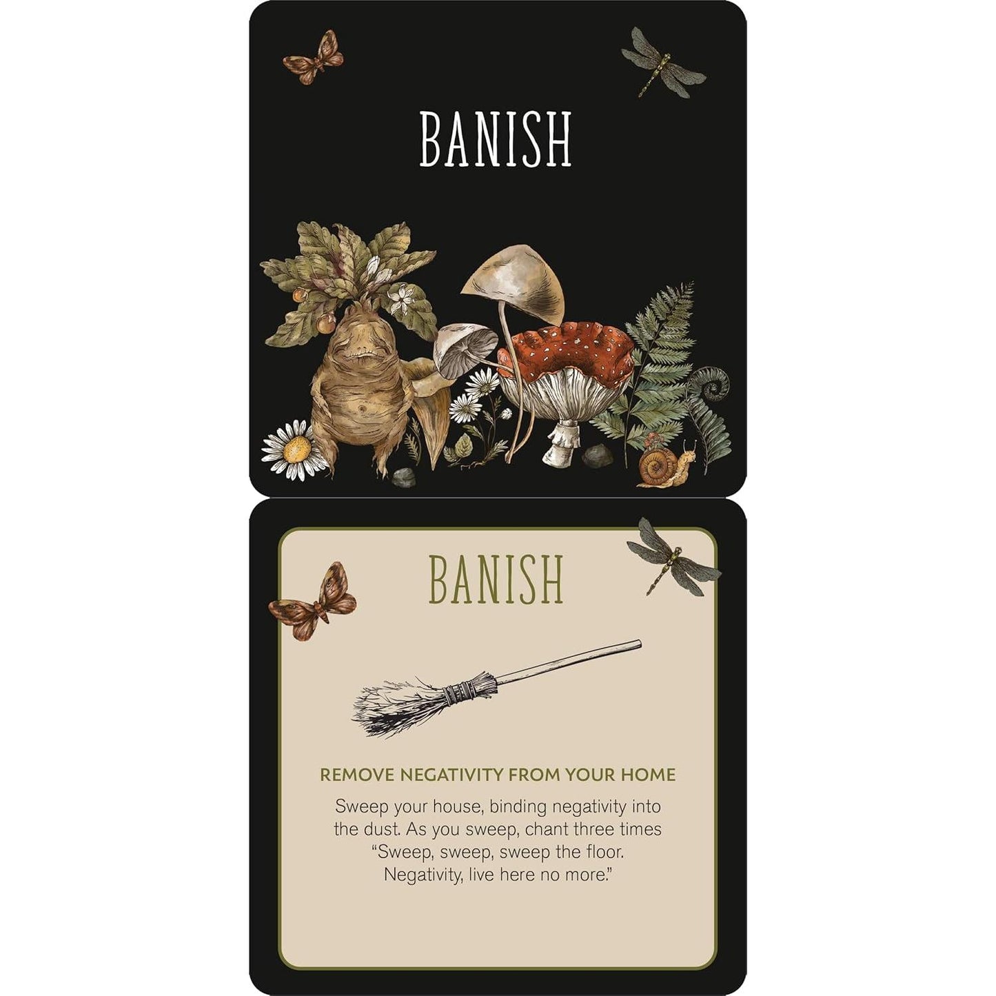 Everyday Spells for Busy Witches Card Deck