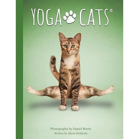 Yoga Cats Deck