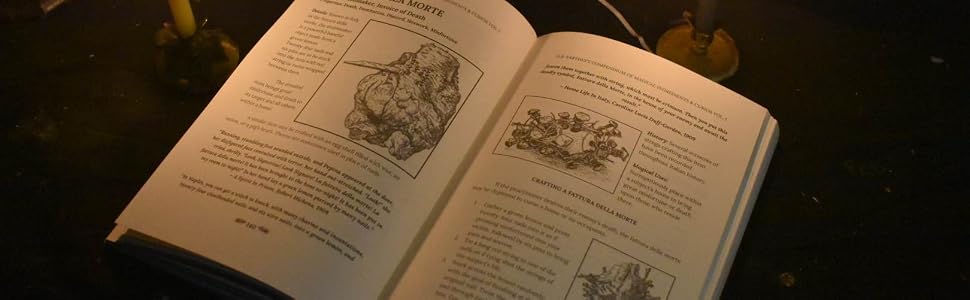 DB Earthly's Compendium of Magical Ingredients & Curios Book