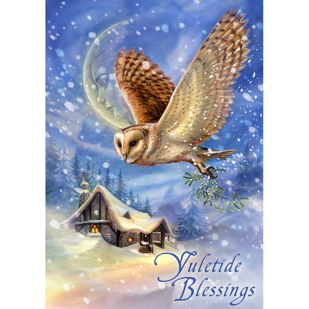 Snow Bringer  Owl Yule Card by Anne Stokes