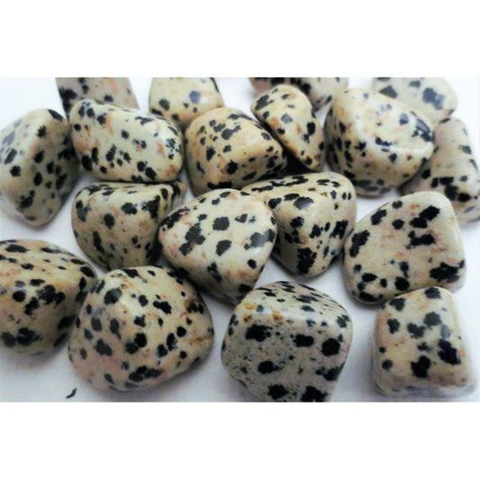 Jasper, Dalmatian, Tumbled and Polished 1"