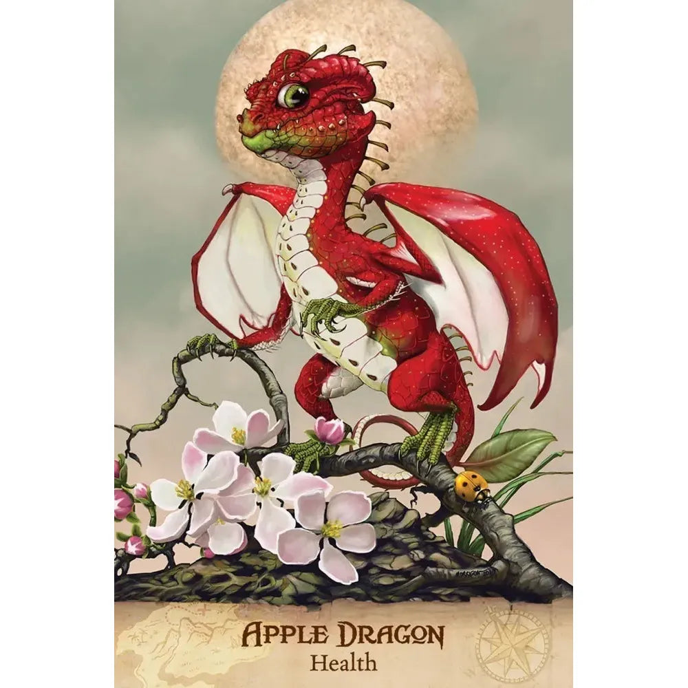 Field Guide To Garden Dragons Cards