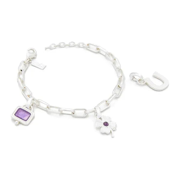 Interchangeable Charm Bracelet - Amethyst/Protection/Silver