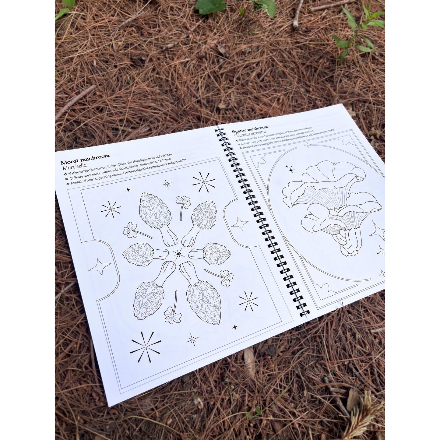 Edible & Medicinal Plants & Fungi Coloring Book