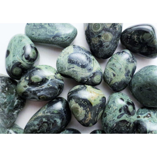 Jasper, Kambaba, Tumbled and Polished 1"