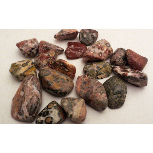 Jasper, Leopard Skin, Tumbled and Polished 1"