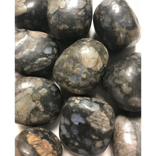 Que Sera Stone (Rhyolite) Tumbled and Polished about 1"