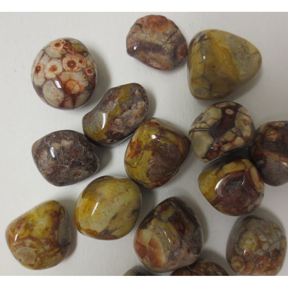 Rhyolite Birds Eye, Tumbled and Polished 1"