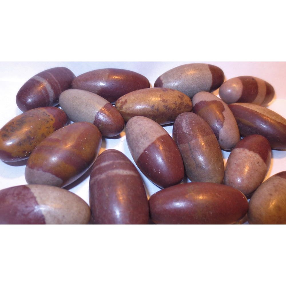 Shiva Lingam, Tumbled and Polished 1"-1 1/4"