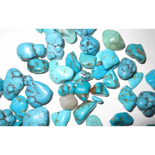 Turquoise Chips, Tumbled and Polished, small 1/3"