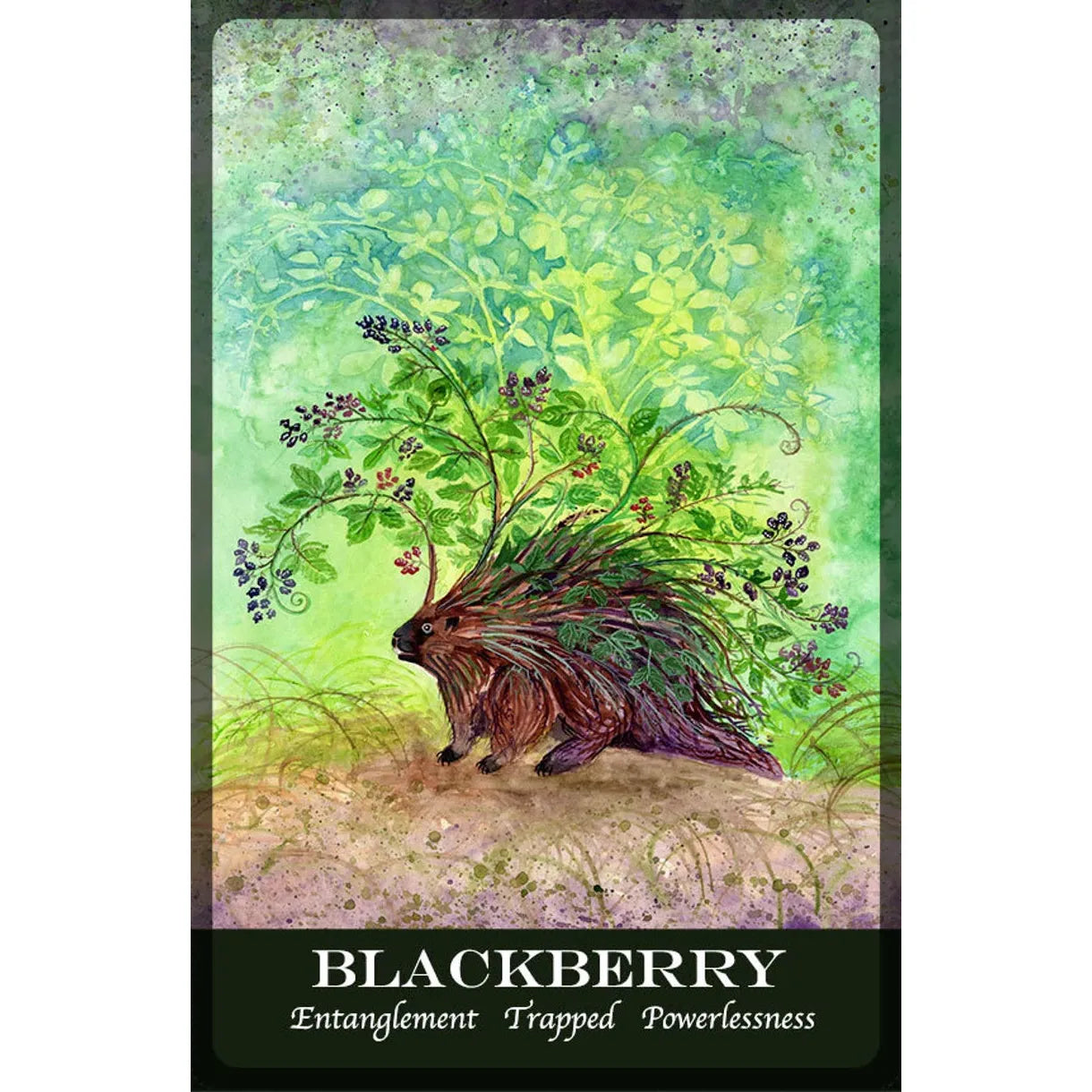 Plant Spirit Oracle Card Deck