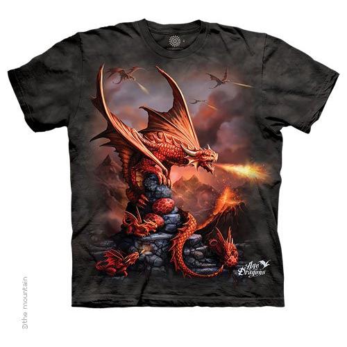 Fire Dragon Tee Shirt Child Size