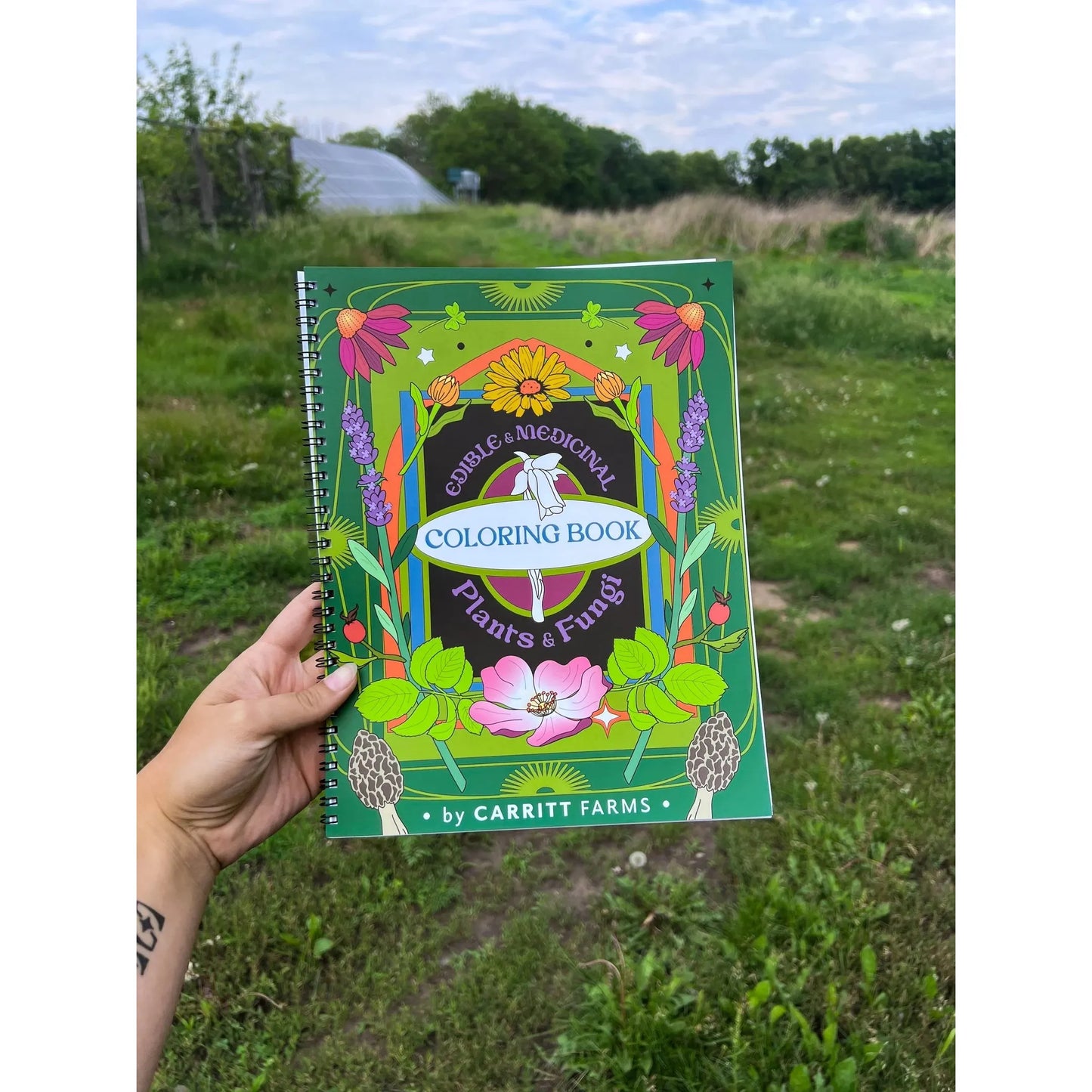 Edible & Medicinal Plants & Fungi Coloring Book